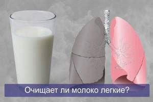 Споры вокруг очищения легких молоком