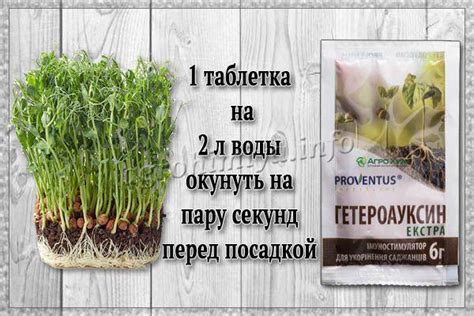 Способы корневой обработки перед пересадкой