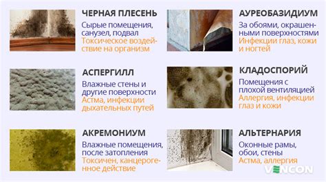 Способы определения наличия плесени на поверхности варенья