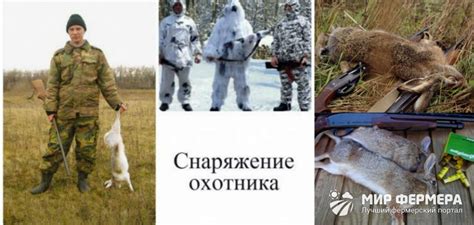 Способы охоты на зайца