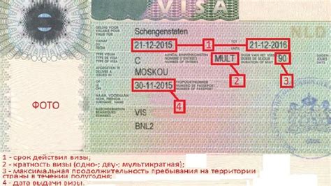 Способы получить визу в Венгрию