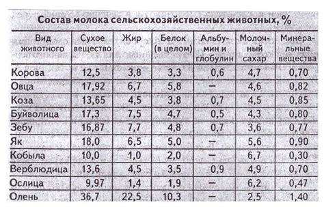 Способы разведения протеина в горячем молоке