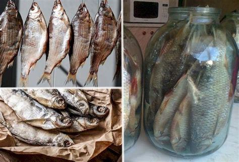 Способы хранения соленой рыбы