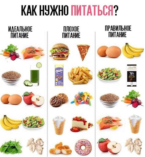 Способ #1: Правильное питание