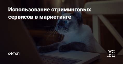 Способ 4: Использование стриминговых сервисов с функцией зумирования