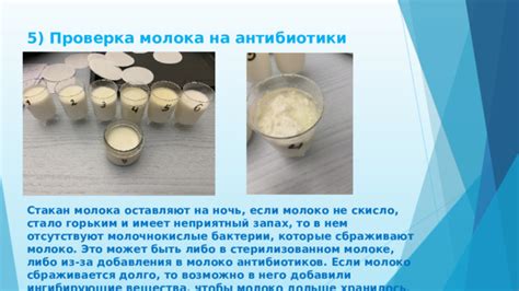 Сроки выведения антибиотиков из молока