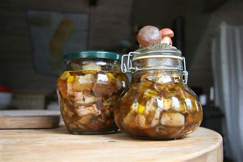 Сроки выдержки маринованных грибов