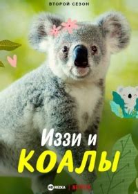 Сроки для отношений между Кейси и Иззи