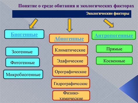 Сроки и факторы