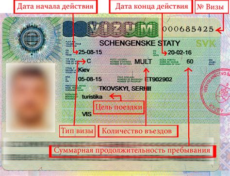 Сроки оформления визы и ее продолжительность пребывания