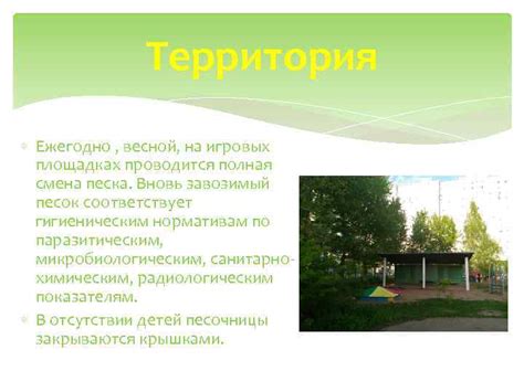 Сроки полной смены песка на игровых площадках в доу