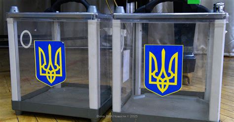 Сроки проведения выборов