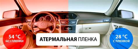 Сроки тонировки