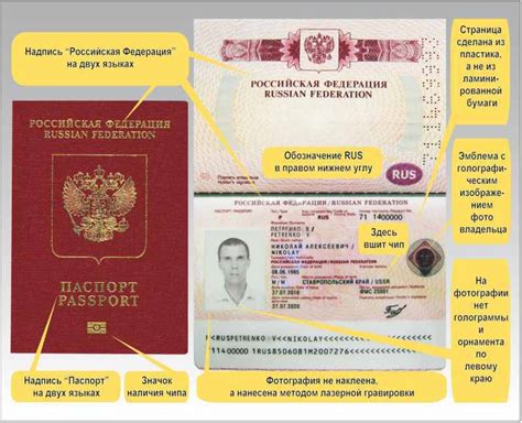 Срок действия и стоимость загранпаспорта на 10 лет