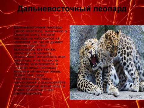Статус исчезающего вида