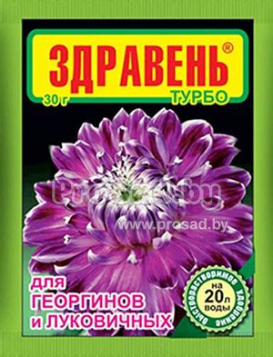 Стахометр для георгинов