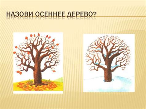 Стоимость тура в разное время года