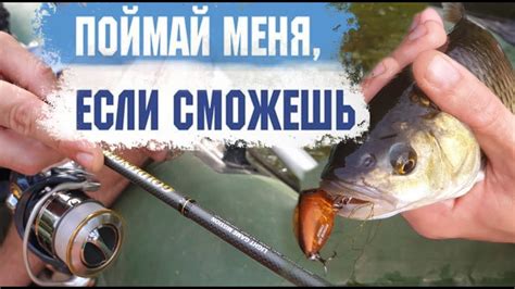 Стратегия для успешной ловли голавля