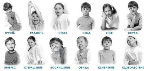 Страх и раздражение