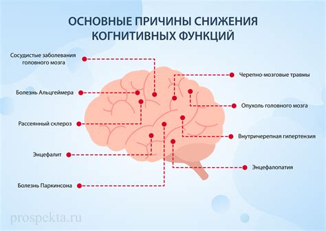 Стресс и когнитивные функции мозга