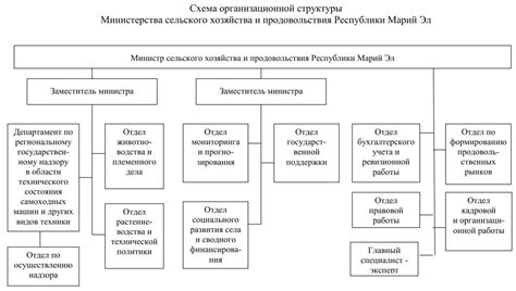 Структура Министерства просвещения РФ: отделения и подразделения