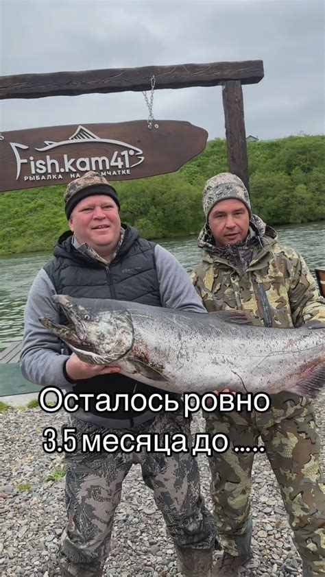 Структура и содержание рыболовного отдыха на Камчатке