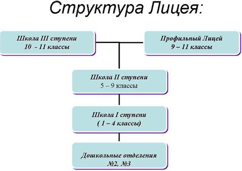 Структура первого лицея