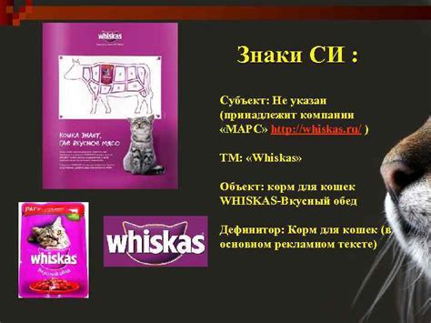 Субъект не указан