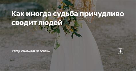 Судьба сводит людей