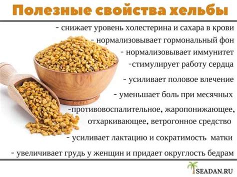 Сушка пажитника