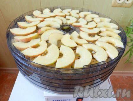 Сушка яблок в электродуховке: сохранение полезности и вкуса фруктов