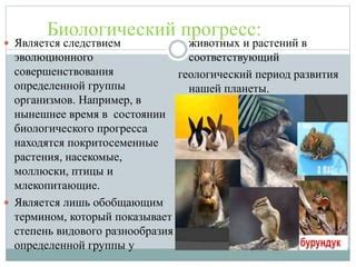 Существующие теории эволюционного развития родовых процессов у кошек