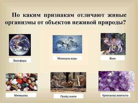 Сущность живой энергии и её исход