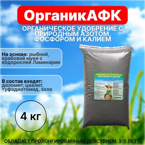 Сходства и различия между азотом и фосфором