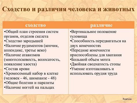 Сходства и различия между именами Екатерина и Катерина