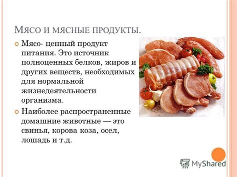 Сырое мясо как источник необходимых питательных веществ