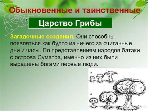 Таинственные и загадочные создания