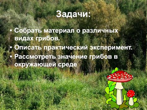 Тайна красных грибов в окружающей среде