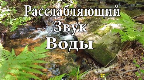 Тайны громких звуков природы