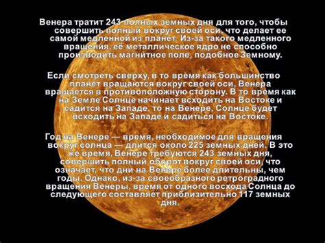 Тайны обитателей мордвинских лесов: удивительный и непознанный мир