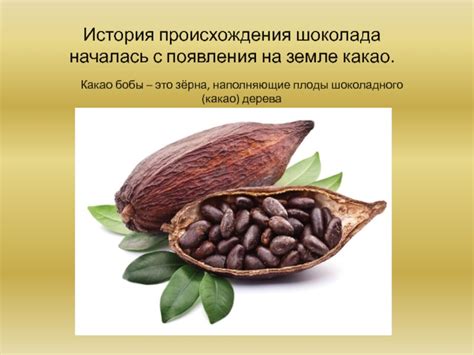 Тайны происхождения шоколада