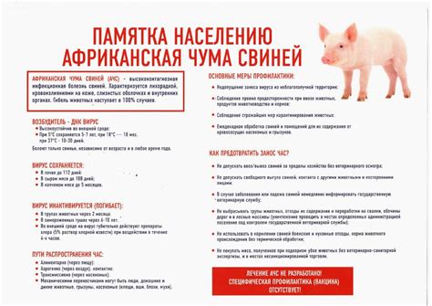Таможенные требования и ограничения на мясо с АЧС