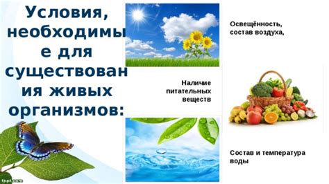 Температура и сохранность питательных веществ