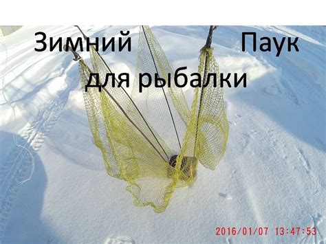 Температурные условия для ловли рыбы на паук