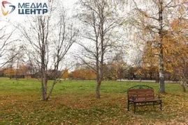 Теплые дни ждут Энгельс