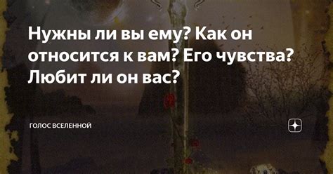 Тест: определите, нужны ли вы ему
