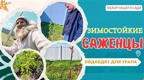 Техника беления деревьев на Урале