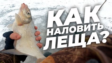 Техника ловли рыбы на слизней: секреты мастерства