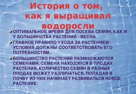 Техника посева и ухода за растением
