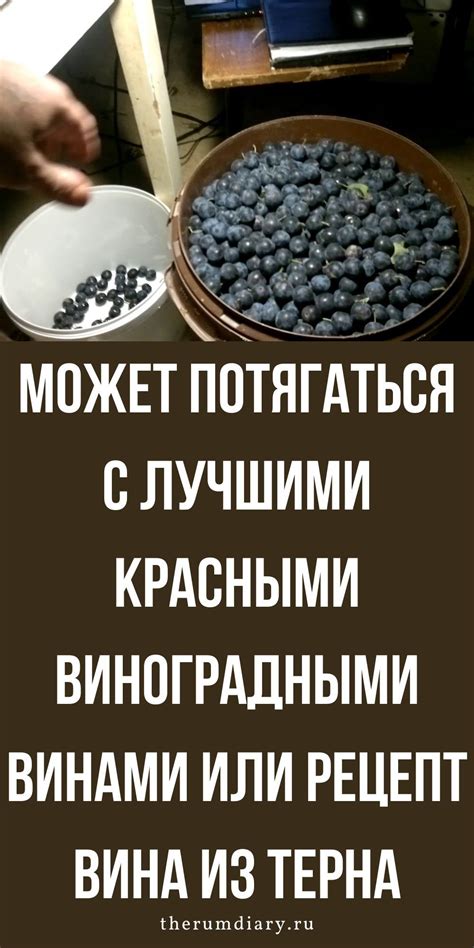 Техники выделения вкуса и аромата вина из терна